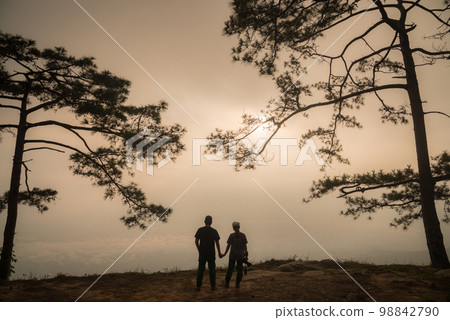 The silhouette of Pine tree and couple on Phu Kradueng national park of Loei province of Thailand. 98842790
