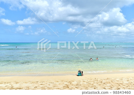 夏威夷的假期 夏威夷的假期 98843460