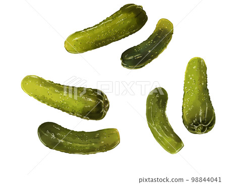 Hand drawn watercolor pickled cucumber illustration set Hand drawn watercolor pickled cucumber illustration set 98844041
