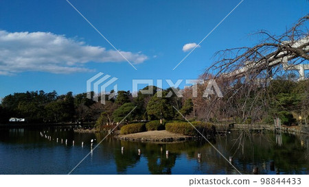 Blue sky and white clouds above Nakanoshima Island in Watatachi Pond, Chiba Park Blue sky and white clouds above Nakanoshima Island in Watatachi Pond, Chiba Park 98844433