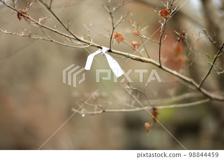 分行彩票 分行彩票 98844459