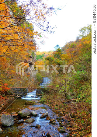 Omoshiroyama Momijigawa Valley Autumn Leaves Yellow Leaves Omoshiroyama Momijigawa Valley Autumn Leaves Yellow Leaves 98844516