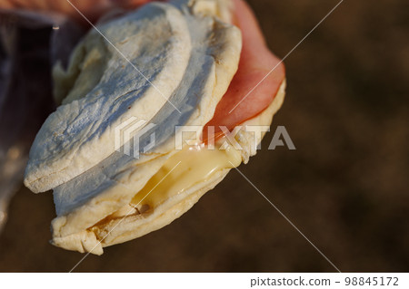 Tempo Senbei (Hachinohe City, Aomori Prefecture) 98845172