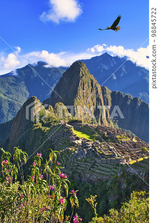 A magnificent view of the ruins of Machu Picchu, the floating city of the Inca civilization 98845722