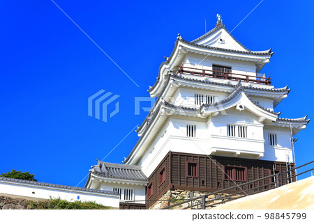 [Nagasaki Prefecture] Hirado Castle Ruins under fine weather (castle tower) 98845799