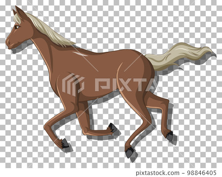 Brown horse on grid background 98846405