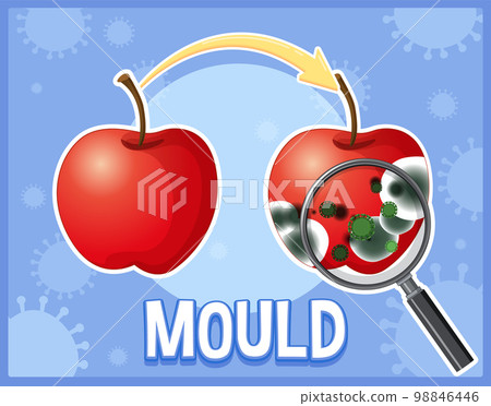 Inedible decomposed apple with mould Inedible decomposed apple with mould 98846446