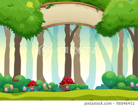 Background scene with trees in forest 98846452