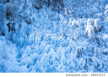 冰世界 98847227