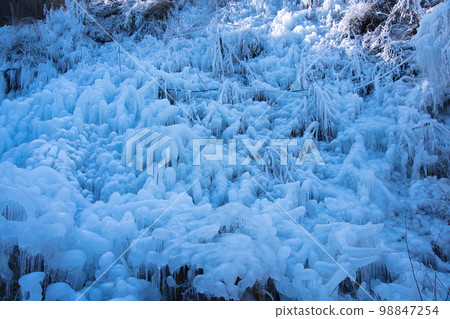 ice World ice World 98847254