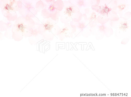 Spring Pale Background Pale spring color background of cherry blossoms - Stock Illustration ...