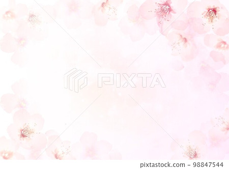 Pale spring color background of cherry blossoms 98847544
