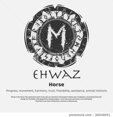 Viking Ehwaz rune dark circle shield 98848041