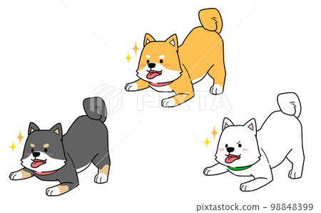 三隻柴犬邀請你一起玩的插圖，眼睛閃閃發亮 98848399