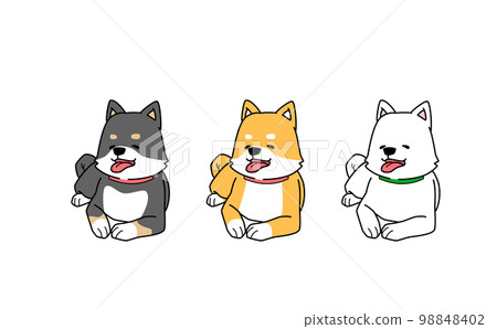 三隻柴犬笑著躺著的圖解 98848402