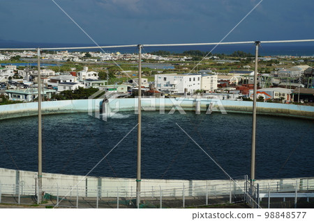 沖繩的灌溉池 98848577