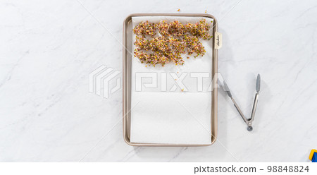 Day 6. Flat lay. Drying freshly harvested organic sprouts on a baking sheet lined with a paper towel. Day 6. Flat lay. Drying freshly harvested organic sprouts on a baking sheet lined with a paper towel. 98848824