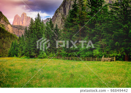 Tre Cime Di Lavaredo and alpine meadows at springtime sunrise, Dolomites, Italy Tre Cime Di Lavaredo and alpine meadows at springtime sunrise, Dolomites, Italy 98849442