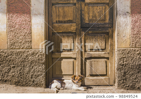 Rustic old wooden door with textured adobe wall with dog in Cusco, Peru Rustic old wooden door with textured adobe wall with dog in Cusco, Peru 98849524