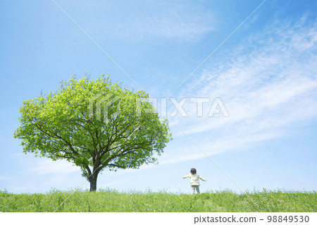 A child standing on a grassy plain with a single tree Clean energy, environmental problems, ecology, and global warming image 98849530