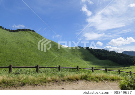 A sunny day in the middle of summer, a grassy landscape that makes you feel hopeful 98849657