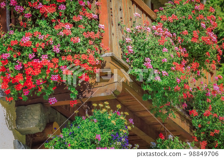 Flowers in rustic balcony at springtime, Interlaken, Switzerland Flowers in rustic balcony at springtime, Interlaken, Switzerland 98849706
