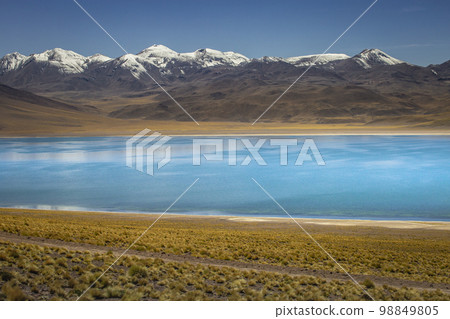 Salt lake, turquoise Laguna Miscanti, volcanic landscape at sunrise, Atacama 98849805