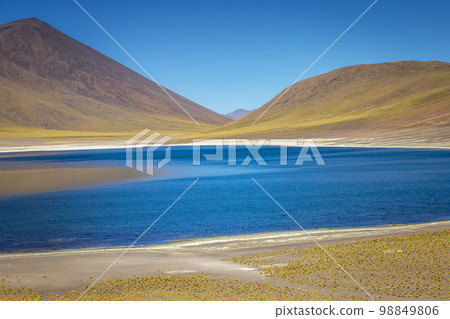 Salt lake, turquoise Laguna Miniques, volcanic landscape at sunrise, Atacama Salt lake, turquoise Laguna Miniques, volcanic landscape at sunrise, Atacama 98849806