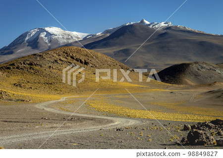 Dirt Road in Moon Valley dramatic landscape at Sunset, Atacama Desert, Chile 98849827
