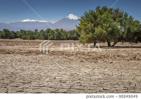 Licancabur and dramatic volcanic landscape at Sunset, Atacama Desert, Chile 98849849