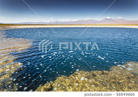 Licancabur with reflection lake and volcanic landscape at Sunset, Atacama, Chile 98849866
