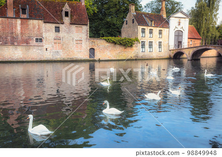Public park and canal near monastery with swans and ducks, Bruges, Belgium Public park and canal near monastery with swans and ducks, Bruges, Belgium 98849948