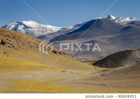 Dirt Road in Moon Valley dramatic landscape at Sunset, Atacama Desert, Chile 98849951