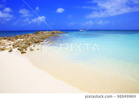 Secluded turquoise beach in Aruba, Caribbean Blue sea, Duth Antilles Secluded turquoise beach in Aruba, Caribbean Blue sea, Duth Antilles 98849969