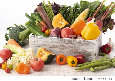 蔬菜採集白色背景 98851055