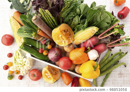 Vegetable gathering white background Vegetable gathering white background 98851058
