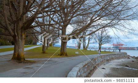 Beautiful walks at Stanley Park Vancouver 98851111