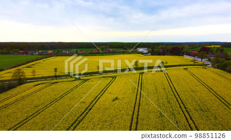 Flight over blooming rapefields in the countryside 98851126