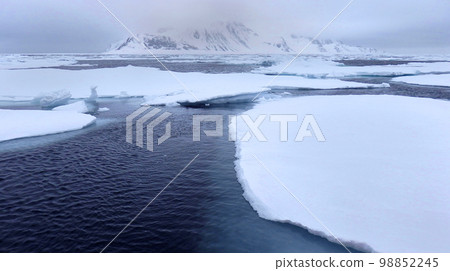 Drift floating Ice, Albert I Land, Norway Drift floating Ice, Albert I Land, Norway 98852245