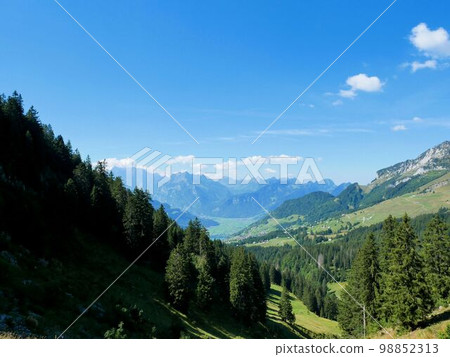 Linthtal and Lake Walensee seen from Amden, Switzerland Linthtal and Lake Walensee seen from Amden, Switzerland 98852313