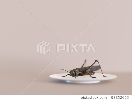Edible insects. Crickets as snack, good source of protein. Copy space for text. Entomophagy, insectivory concept. Fried insects. Close up view. 3D rendering. 98852663