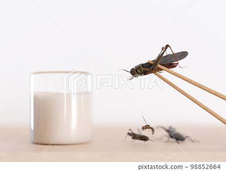 Edible insects. Crickets as snack, good source of protein. Entomophagy, insectivory concept. Fried insects. Close up view. 3D rendering. Edible insects. Crickets as snack, good source of protein. Entomophagy, insectivory concept. Fried insects. Close up view. 3D rendering. 98852664