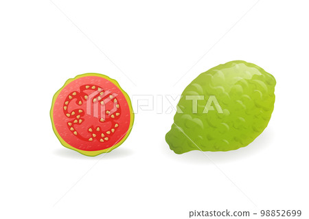 Whole and sliced green Guava fruit vector illustration. 98852699