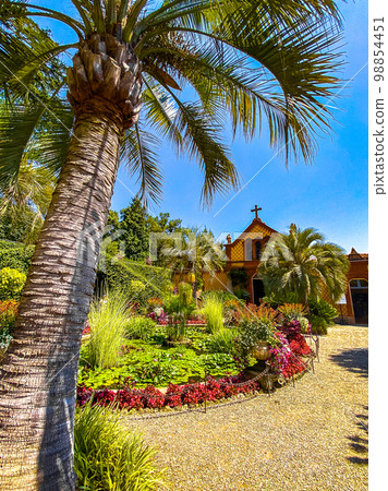 Views of Isola Madre villa and botanic garden, in Isole Borromee archipelago, Lake Maggiore, Italy. Views of Isola Madre villa and botanic garden, in Isole Borromee archipelago, Lake Maggiore, Italy. 98854451