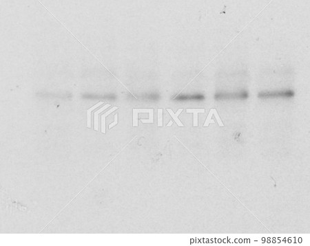 Experimental result with a thin band Experimental result with a thin band 98854610