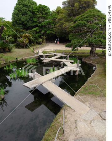 岡山後樂園八橋五月垂直位置 98854946