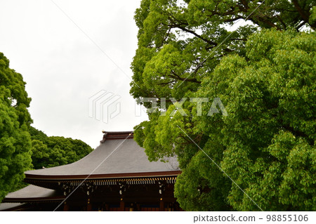Meiji Jingu shrine gate Meiji Jingu shrine gate 98855106