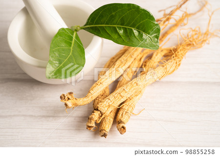 Ginseng, dried vegetable herb. Healthy food famous export food in Korea country. 98855258