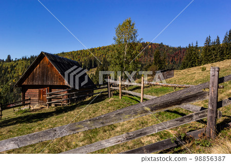 An old, abandoned farmhouse in a mountain meadow above the Carpathians. Beautiful walking landscape in Ukraine. autumn time 98856387