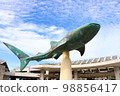 Miumi Aquarium Okinawa Sightseeing 98856417